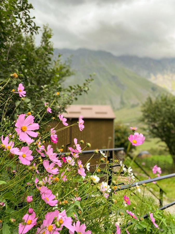 Apartament My Space Kazbegi Zewnętrze zdjęcie